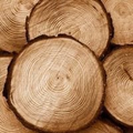 Cedarwood