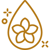 EXPENSIVE INGREDIENTS